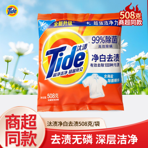 汰渍净白去渍洗衣粉508g