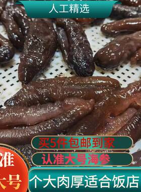 海茄参昶宸深海大乌参山东发货