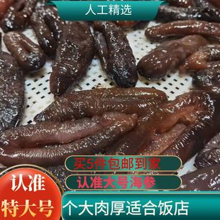 包邮 深海大乌参海茄参 商用 饭店 无沙去内脏 个人 冷冻水产1斤装