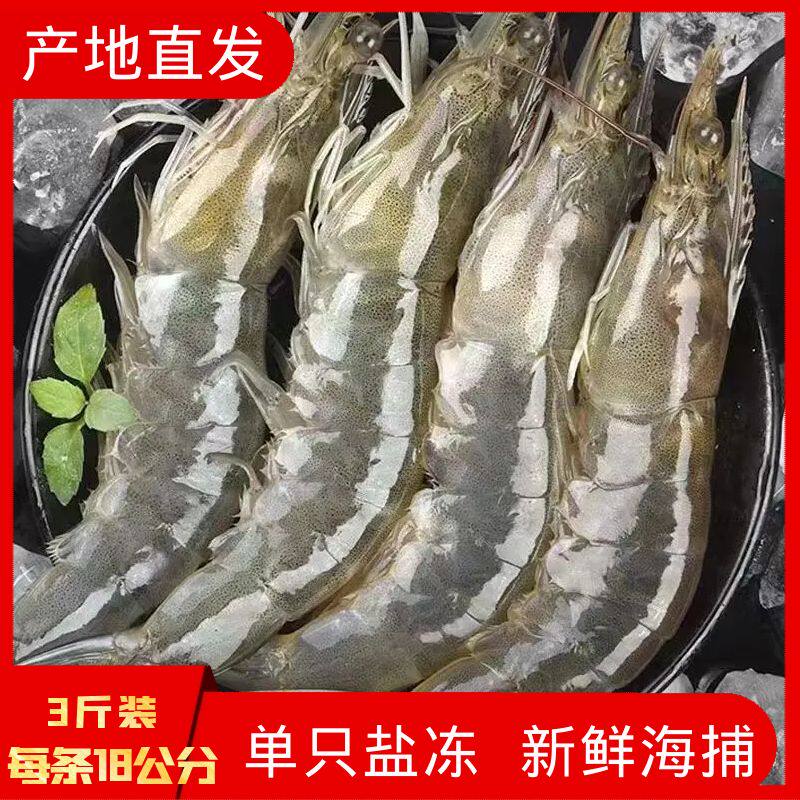 新鲜盐田大虾鲜活冷冻锁鲜基围虾大青虾青岛大虾白虾海产超大包邮