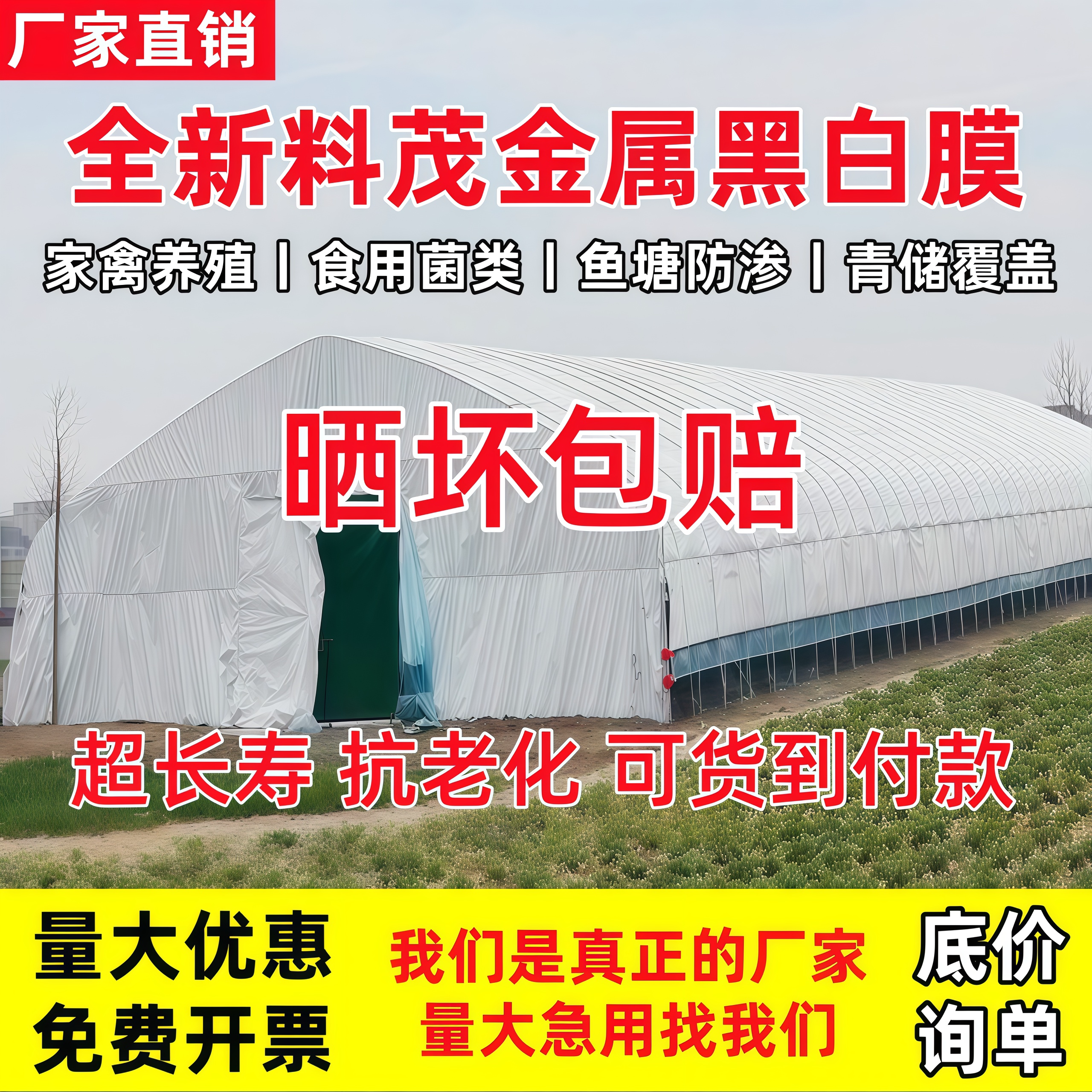 进口养殖黑白膜降温反光膜食用菌