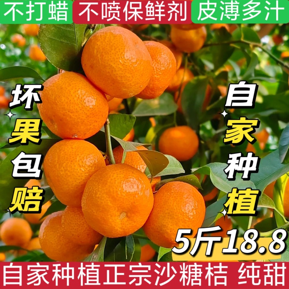 新鲜正宗砂糖橘广西梧州沙糖桔皮薄纯甜多汁当季新鲜水果整箱净重,水产肉类/新鲜蔬果/熟食,桔子,淘宝优惠券,粉丝福利购,淘宝优惠卷