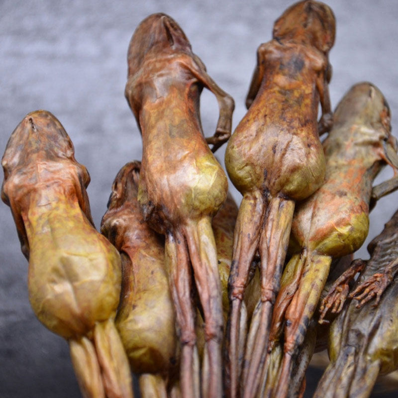 雪蛤干整只长白山雪蛤礼盒蛤蟆干东北特产纯干9g林蛙干木瓜炖雪蛤