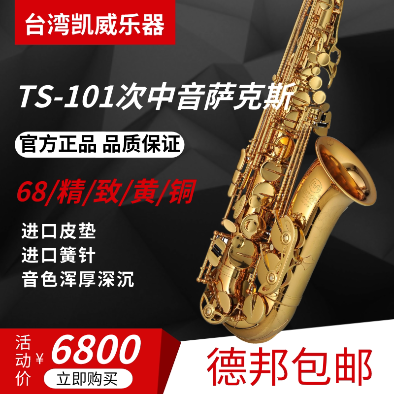 TS-101次中音萨克斯萨克斯风