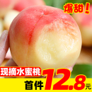现摘水蜜桃毛桃新鲜水果5斤当季 时令整箱孕妇桃子香甜10 包邮