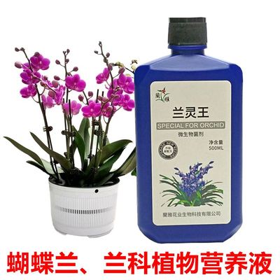 兰灵王兰科蝴蝶兰花肥料营养液