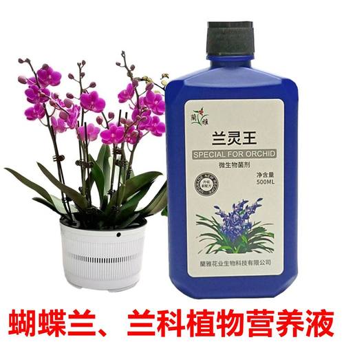 兰灵王兰科蝴蝶兰花肥料营养液