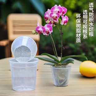 3.5寸4寸4.5寸蝴蝶兰种植专用花盆透明兰花杯小盆栽控根育苗花钵