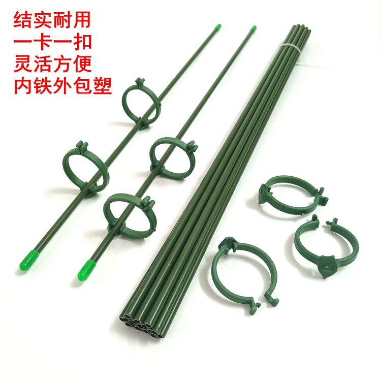 种花支撑杆金钱树支架爬藤架卡扣