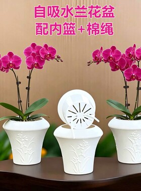 透气自吸储水懒人花盆定植篮