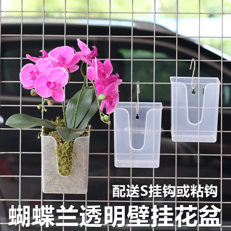 绿怡透明壁挂方形多肉花盆