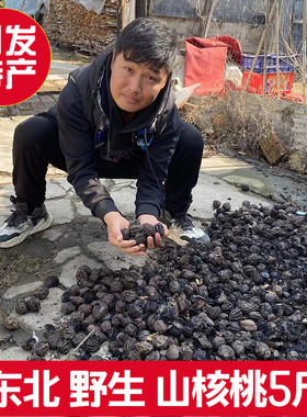 东北长白山野生山核桃厚皮核桃仁黑核桃秋子树核桃硬壳铁核桃5斤