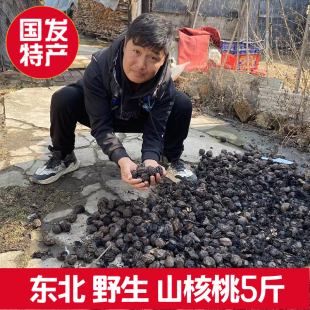 东北长白山野生山核桃厚皮核桃仁黑核桃秋子树核桃硬壳铁核桃5斤