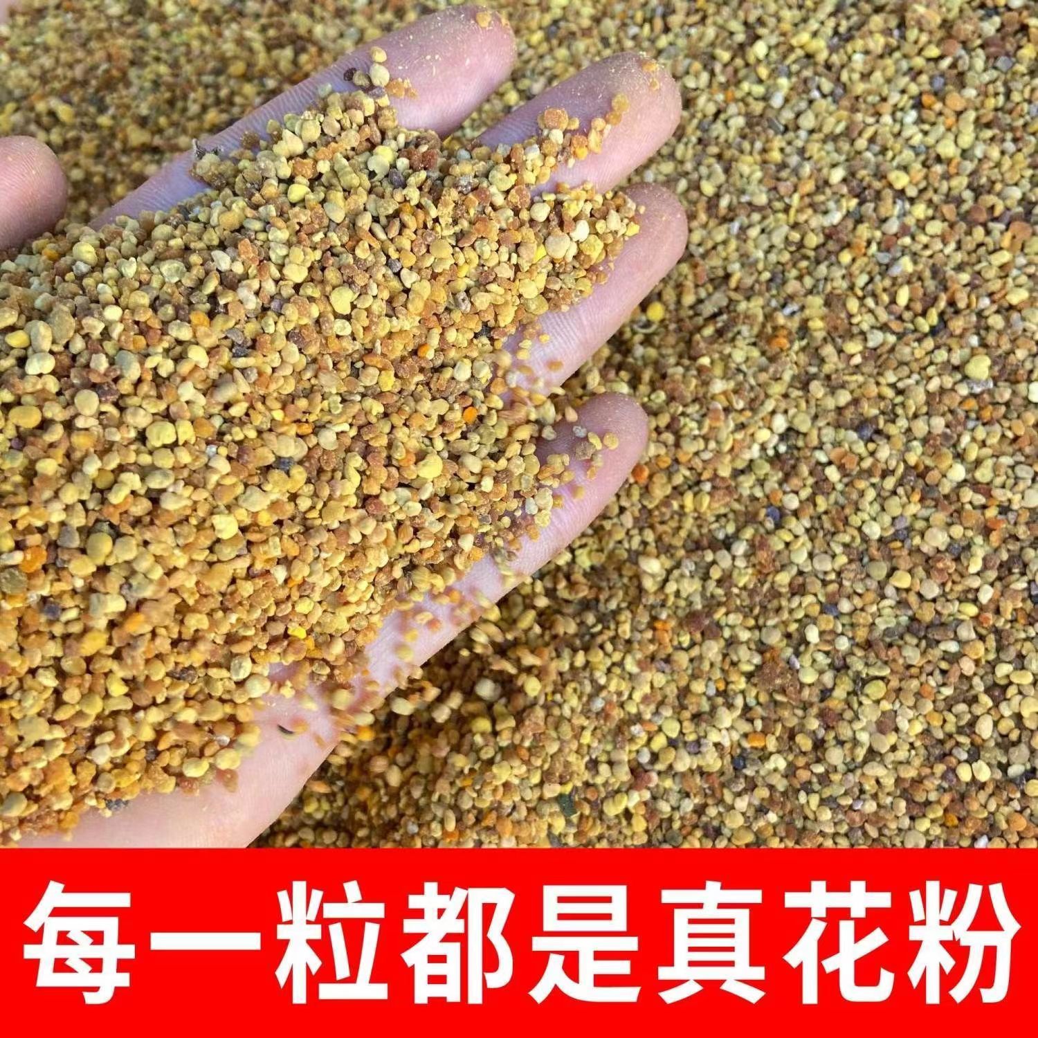 东北特产蜂花粉百花粉250克每瓶包邮 黑龙江农家自产山花粉杂花粉