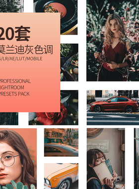 莫兰迪灰色调LR预设PS人像电影婚礼Lightroom胶片干净极简灰白