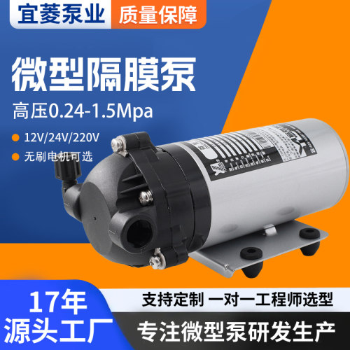 DP-150微型隔膜泵  CE认证 大流量 耐腐蚀 耐油 直流 交流