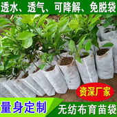 无纺布育苗袋热卖 植树袋可降解营养钵一次性容器杯加厚花盆定制