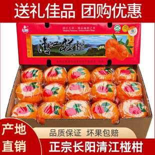 湖北长阳特产岩松坪清江椪柑橘子桔子新鲜水果45枚特级/30枚超特