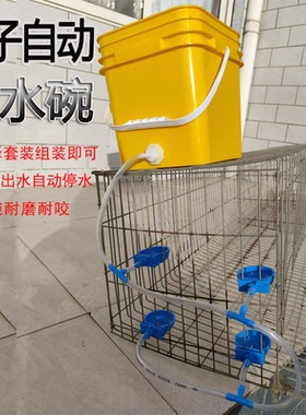 兔子全自动饮水器碗防啃咬蓝色小水槽喝水盒饮水碗饮水盒兔用水槽