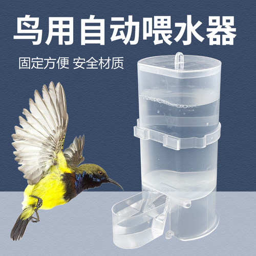透明塑料饮水器鸟用外挂自动喂水器水壶饮水器防溅水防打翻喂水器