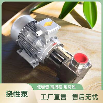 上海RBX自吸挠性泵不锈钢果汁果酱输送泵RXB-20柔性挠性泵