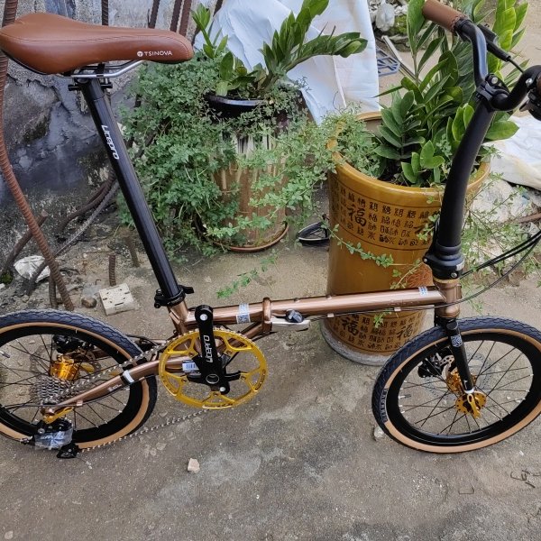 风行fnhon折叠自行车16寸超轻9速碟刹FGD1618油刹349轮组