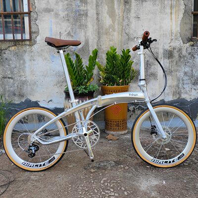 风行新款海豚架LDG2018整车