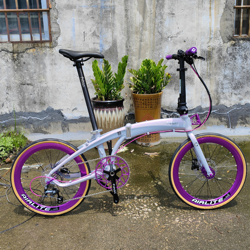 fnhon风行实体店20寸铝合金新款海豚架LDG2018碟刹禧码诺10速升级