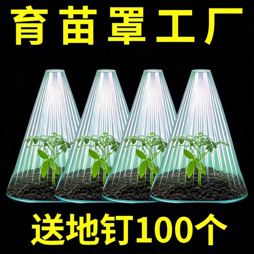 蔬菜植物罩防虫防鸟瓜苗菜苗幼苗育苗秧苗大棚育苗保温防霜保护罩