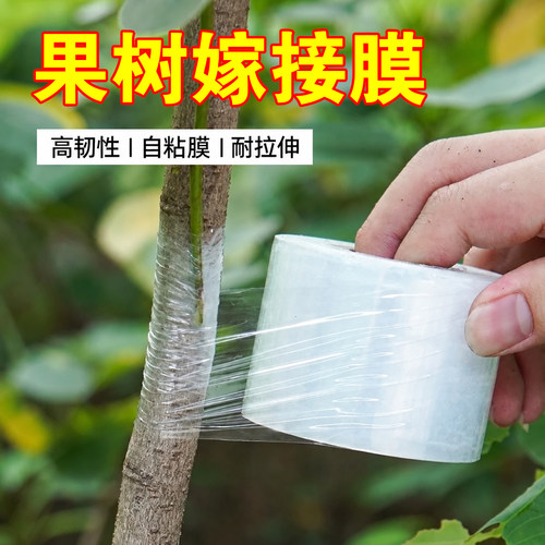 果树花卉无菌免拆刺穿嫁接膜