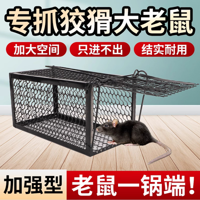 老鼠笼子铁网扑捉器全自动捕鼠器