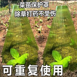 育苗保温罩重复使用方形植物钟罩大棚免受鸟类霜冻伤害保护防虫袋