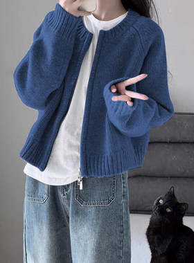 蓝色毛衣外套女针织开衫学生国潮牌秋冬外穿拉链上衣通勤卫衣加厚