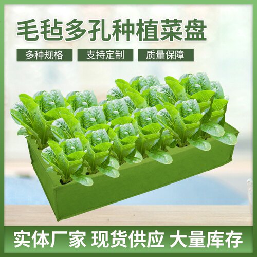 培育盘育种育秧盘穴盘托盘种植袋