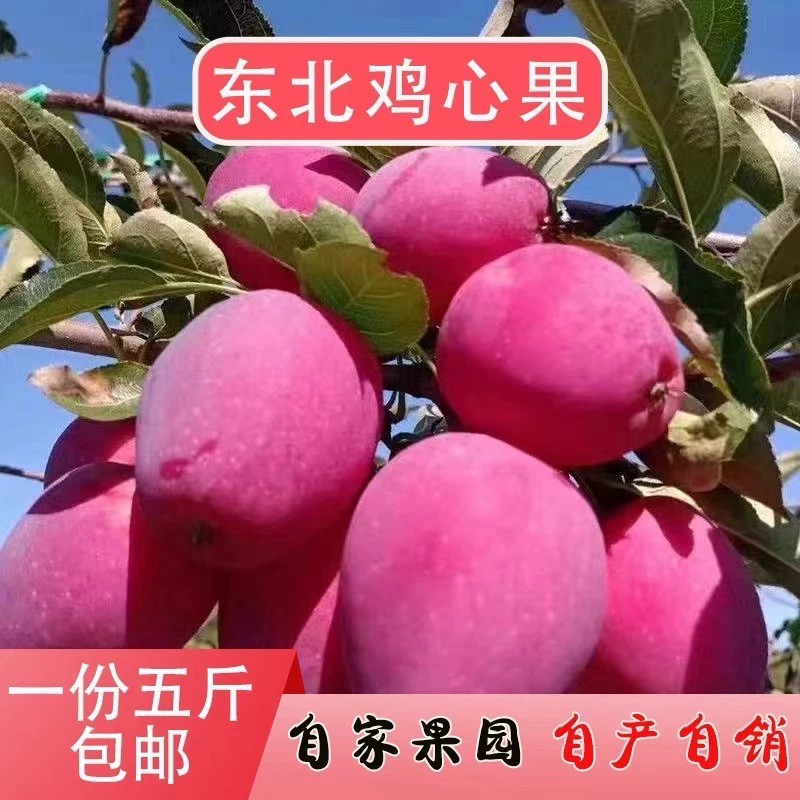 东北吉林鸡心果苹果新鲜