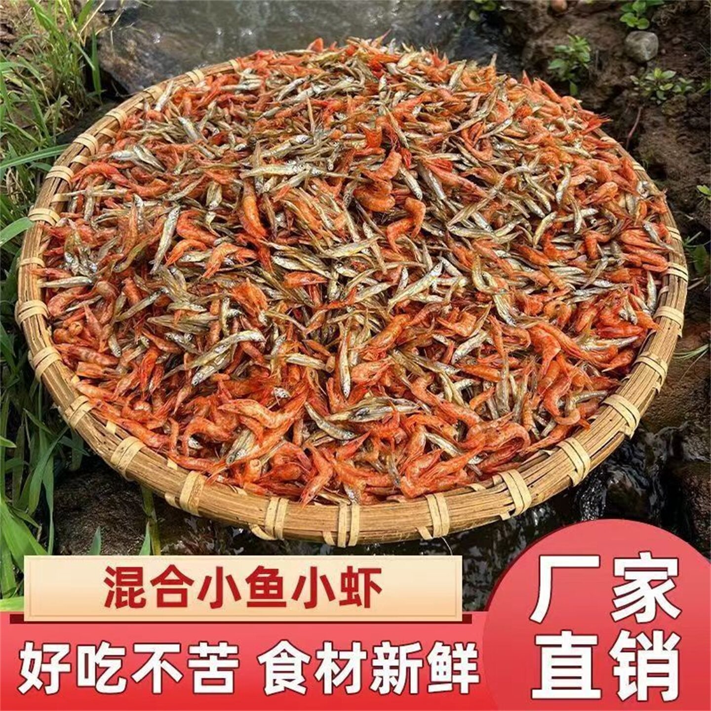 湖南特产小鱼小虾正宗衡阳农家