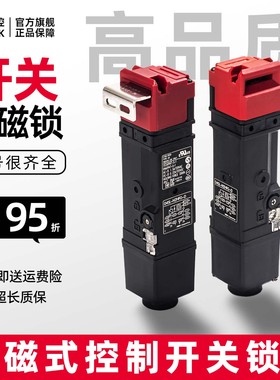 电磁锁安全门开关D4SL-N2NFA-D-N N4NFG AFA FG VFA DFG HFA 锁定