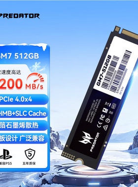 Acer宏碁掠夺者（PREDATOR）1TB SSD固态硬盘 M.2接口 GM7系列
