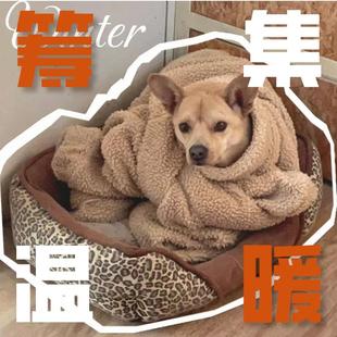 2025-2026 汪喵暖冬保卫战（实发汪喵三折页及随机小动物胸针）