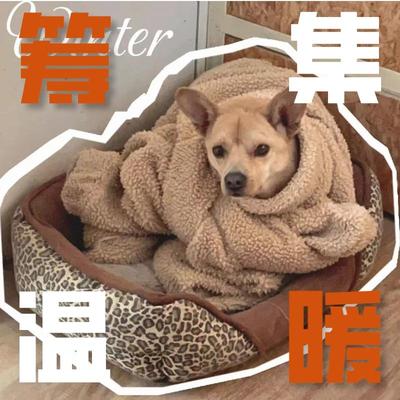 2025-2026 汪喵暖冬保卫战（实发汪喵三折页及随机小动物胸针）