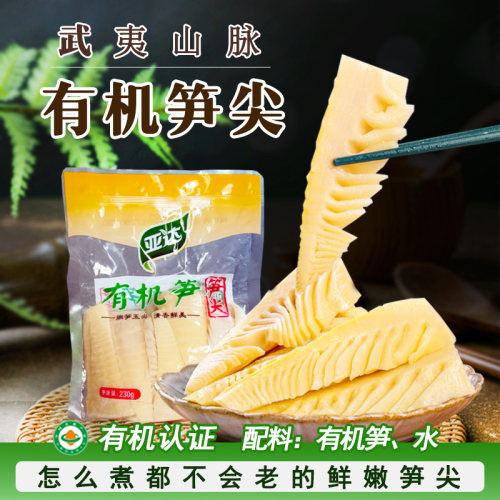有机笋尖嫩笋武夷山脉高山春笋原味竹笋子袋装脆笋福建特产商用
