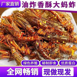 香酥蚂蚱油炸即食油炸蚂蚱蝗虫蚱蜢食用零食虫子烧烤商用昆虫美食