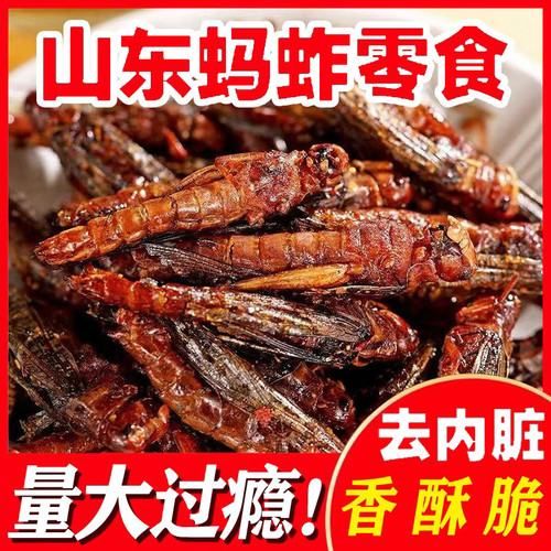 香脆油炸蚂蚱即食零食蝗虫食用