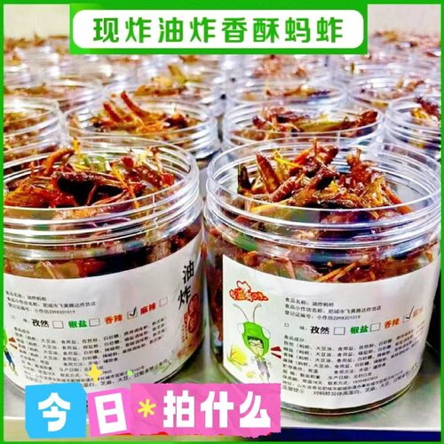 香酥脆蚂蚱油炸即食新鲜蝗虫食用昆虫炸虫子蚱蜢零食烧烤虫子美食
