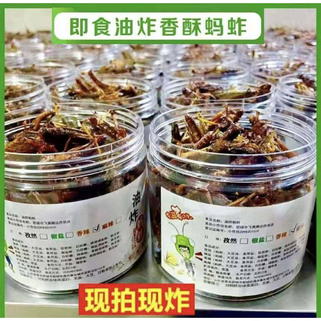 香酥脆蚂蚱油炸即食新鲜蝗虫食用昆虫炸虫子蚱蜢零食烧烤虫子美食