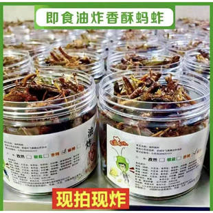 香酥脆蚂蚱油炸即食新鲜蝗虫食用昆虫炸虫子蚱蜢零食烧烤虫子美食