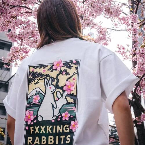 大码FR2SakurbitsT-h男女