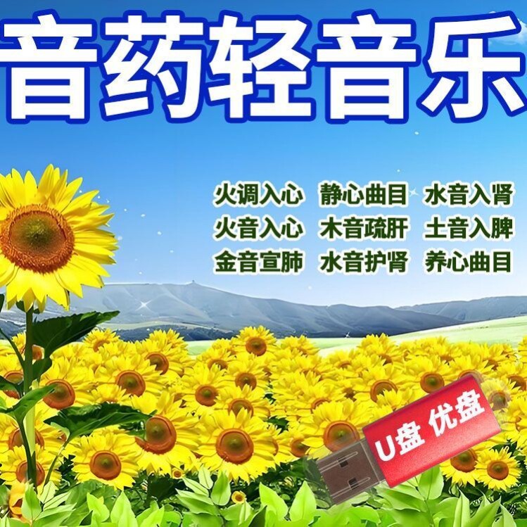 五音养生曲助眠音乐U盘高音质MP3纯音乐养生静心轻音乐舒缓心情