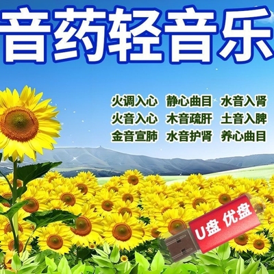 五音养生曲助眠音乐U盘高音质MP3纯音乐养生静心轻音乐舒缓心情