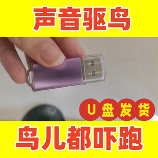 驱鸟菜地果园庄稼农田鸟惊吓声老鹰声驱赶驱鸟赶鸟吓鸟防鸟usb盘